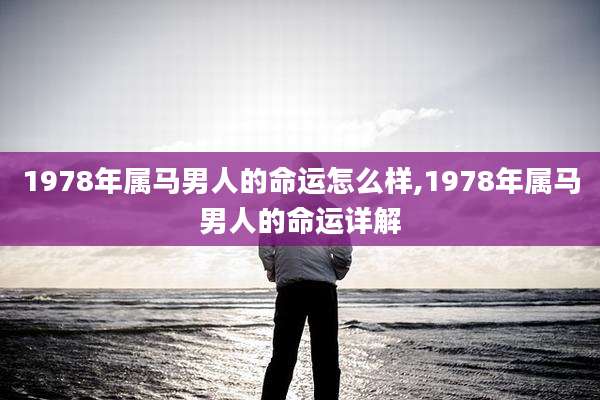 1978年属马男人的命运怎么样,1978年属马男人的命运详解