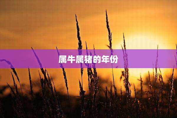 属牛属猪的年份