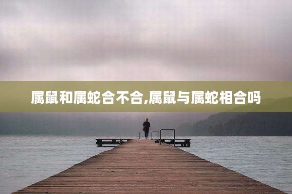 属鼠和属蛇合不合,属鼠与属蛇相合吗
