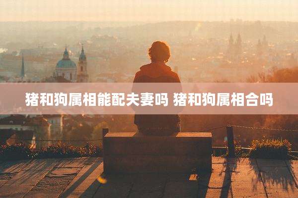 猪和狗属相能配夫妻吗 猪和狗属相合吗