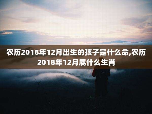 农历2018年12月出生的孩子是什么命,农历2018年12月属什么生肖