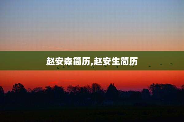赵安森简历,赵安生简历