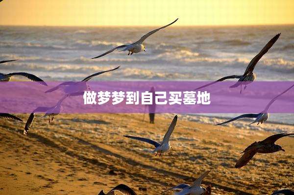 做梦梦到自己买墓地