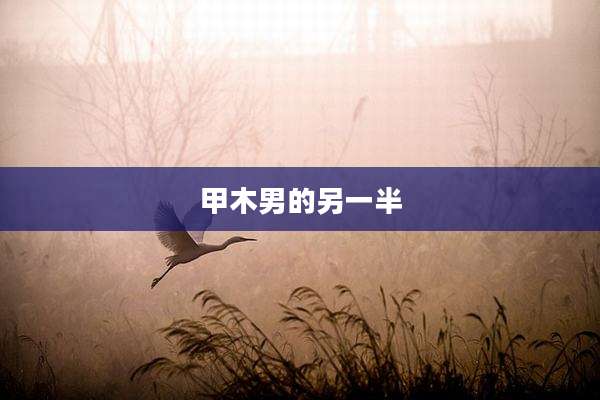 甲木男的另一半