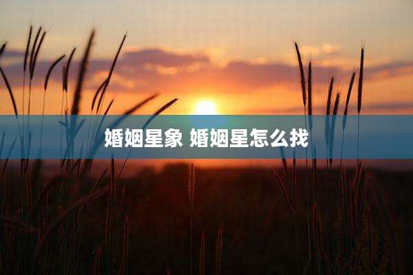 婚姻星象 婚姻星怎么找