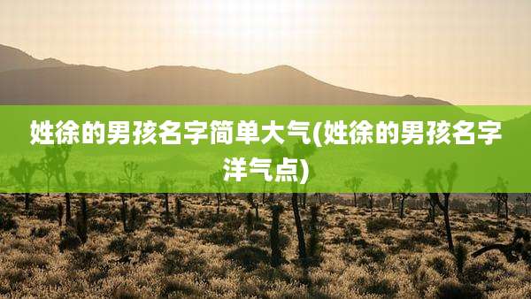 姓徐的男孩名字简单大气(姓徐的男孩名字洋气点)