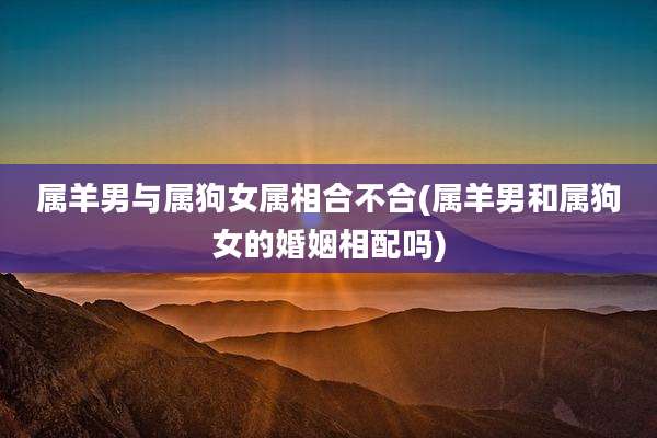 属羊男与属狗女属相合不合(属羊男和属狗女的婚姻相配吗)