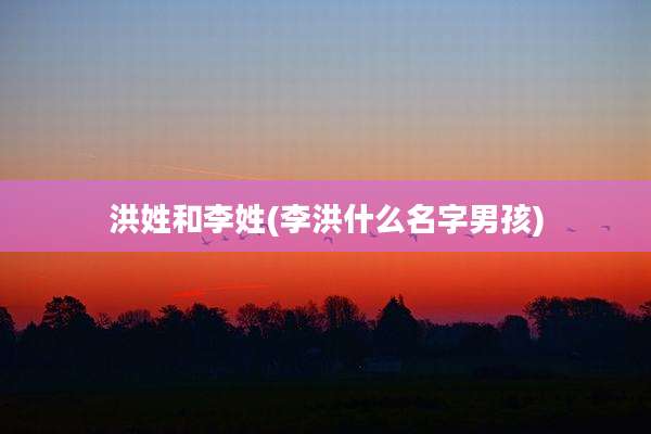 洪姓和李姓(李洪什么名字男孩)