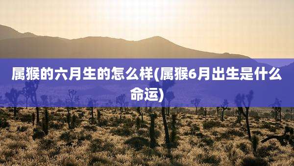 属猴的六月生的怎么样(属猴6月出生是什么命运)