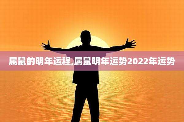 属鼠的明年运程,属鼠明年运势2022年运势