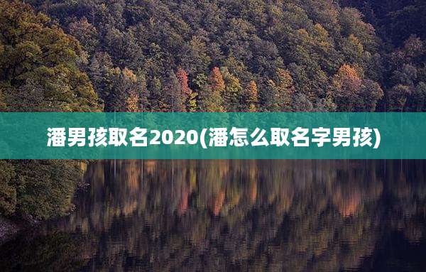 潘男孩取名2020(潘怎么取名字男孩)