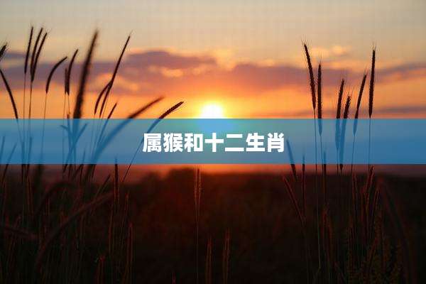属猴和十二生肖