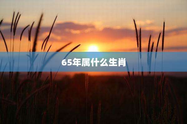 65年属什么生肖
