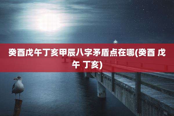 癸酉戊午丁亥甲辰八字矛盾点在哪(癸酉 戊午 丁亥)