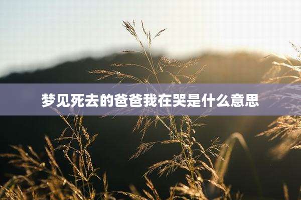 梦见死去的爸爸我在哭是什么意思
