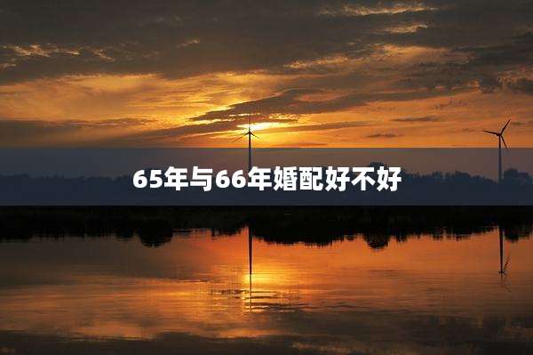65年与66年婚配好不好