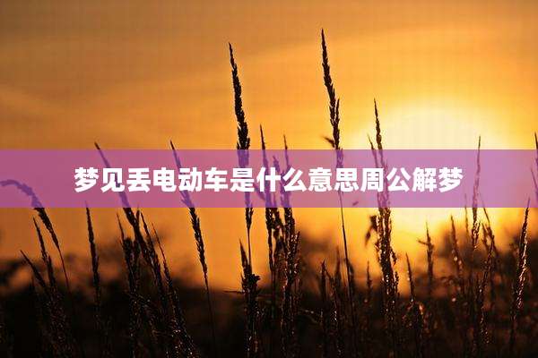 梦见丢电动车是什么意思周公解梦