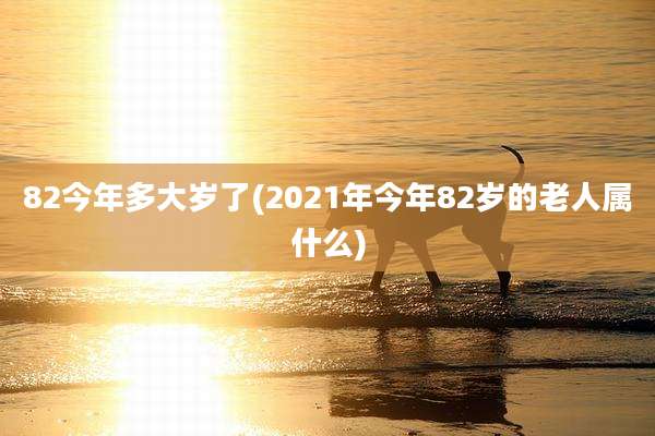 82今年多大岁了(2021年今年82岁的老人属什么)