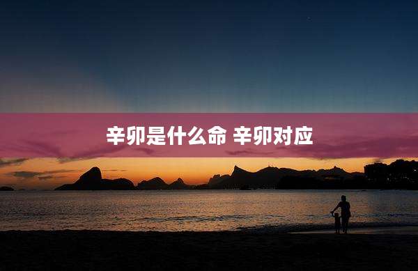 辛卯是什么命 辛卯对应