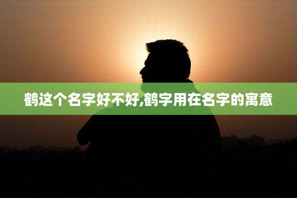 鹤这个名字好不好,鹤字用在名字的寓意