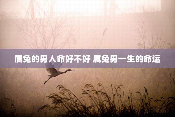 属兔的男人命好不好 属兔男一生的命运
