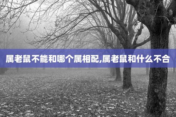 属老鼠不能和哪个属相配,属老鼠和什么不合