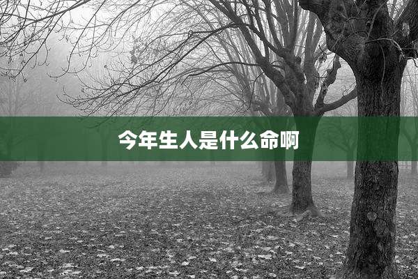 今年生人是什么命啊