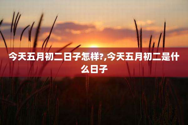 今天五月初二日子怎样?,今天五月初二是什么日子