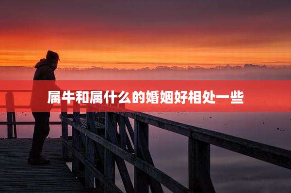 属牛和属什么的婚姻好相处一些