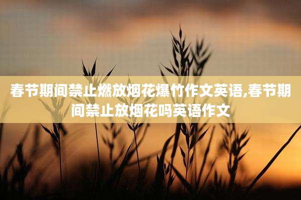 春节期间禁止燃放烟花爆竹作文英语,春节期间禁止放烟花吗英语作文