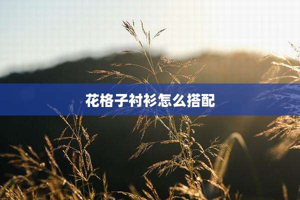 花格子衬衫怎么搭配