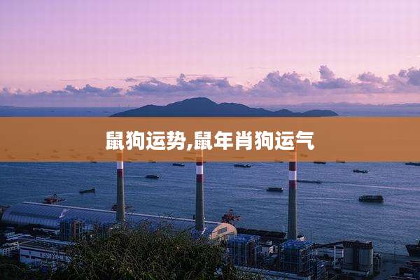 鼠狗运势,鼠年肖狗运气