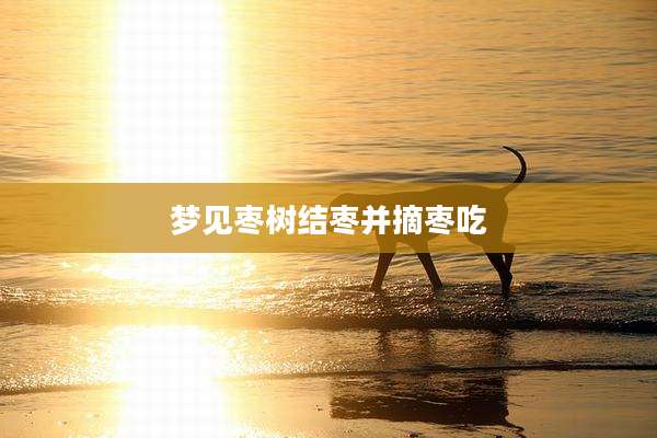 梦见枣树结枣并摘枣吃