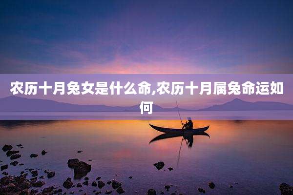 农历十月兔女是什么命,农历十月属兔命运如何