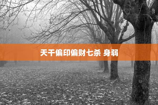 天干偏印偏财七杀 身弱
