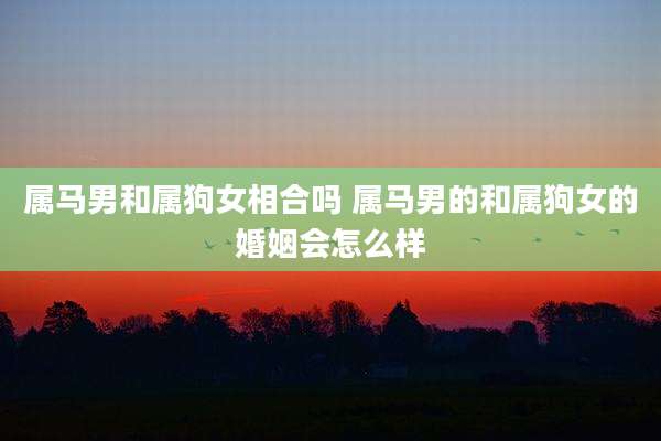 属马男和属狗女相合吗 属马男的和属狗女的婚姻会怎么样