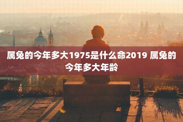 属兔的今年多大1975是什么命2019 属兔的今年多大年龄