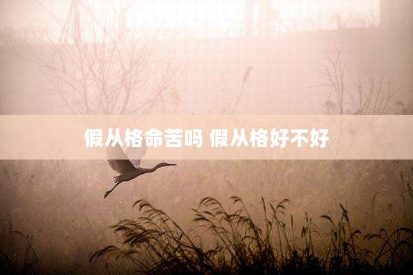 假从格命苦吗 假从格好不好