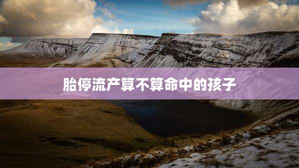 胎停流产算不算命中的孩子