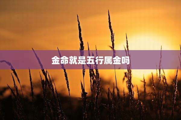 金命就是五行属金吗