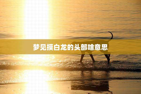 梦见摸白龙的头部啥意思