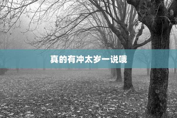 真的有冲太岁一说哦