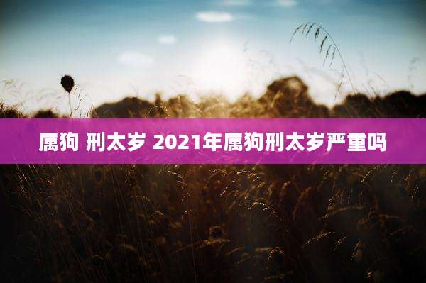 属狗 刑太岁 2021年属狗刑太岁严重吗