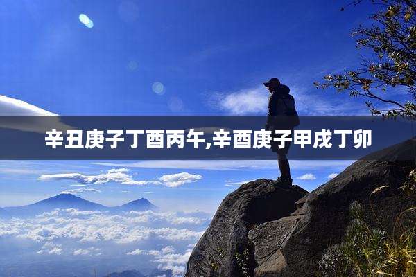 辛丑庚子丁酉丙午,辛酉庚子甲戌丁卯