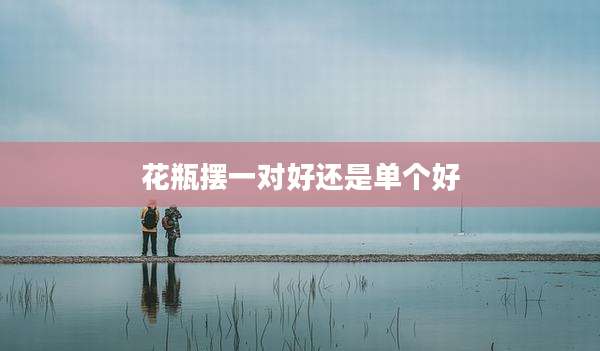 花瓶摆一对好还是单个好