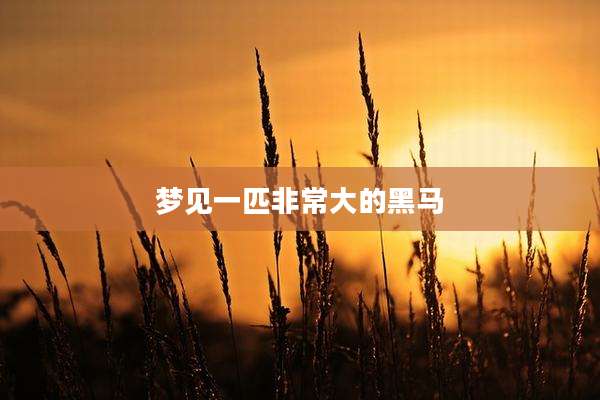 梦见一匹非常大的黑马