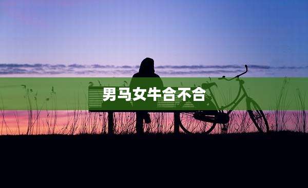男马女牛合不合
