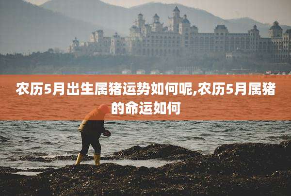 农历5月出生属猪运势如何呢,农历5月属猪的命运如何