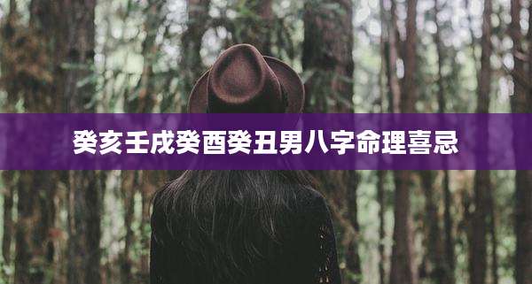 癸亥壬戌癸酉癸丑男八字命理喜忌