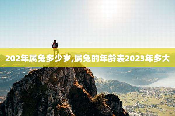 202年属兔多少岁,属兔的年龄表2023年多大